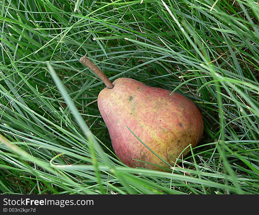 Pear In A Grass