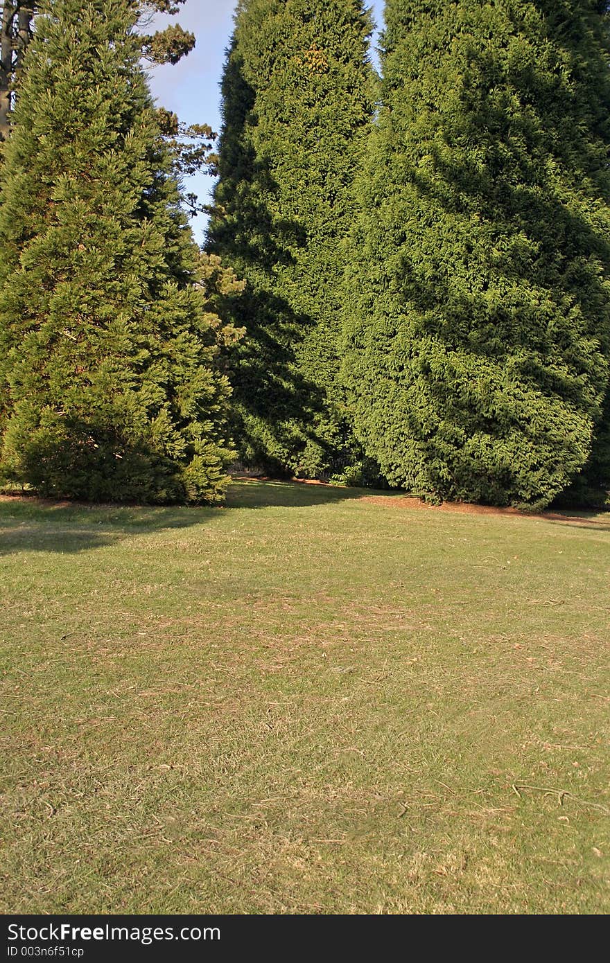 Scene at Wakehurst Place garden, Sussex. Scene at Wakehurst Place garden, Sussex