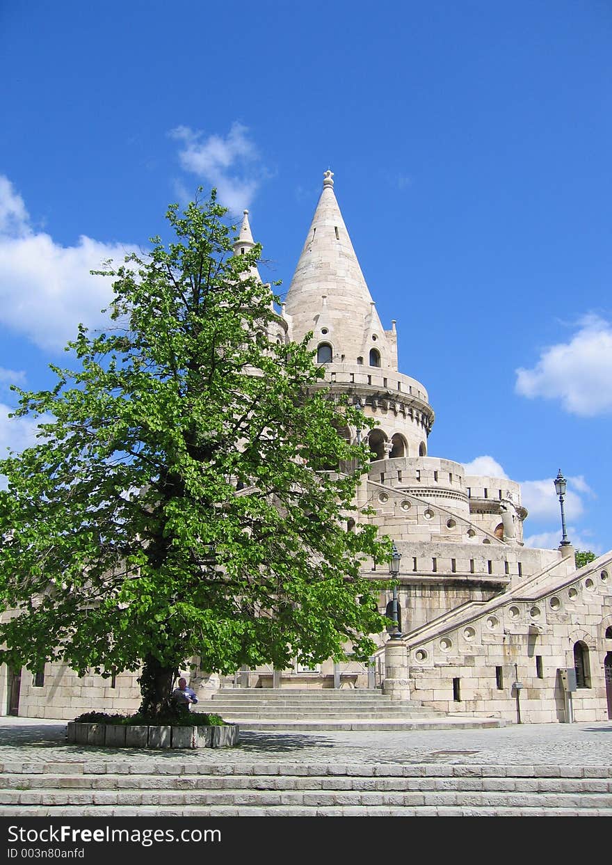 Tree and Fortress, Budapest