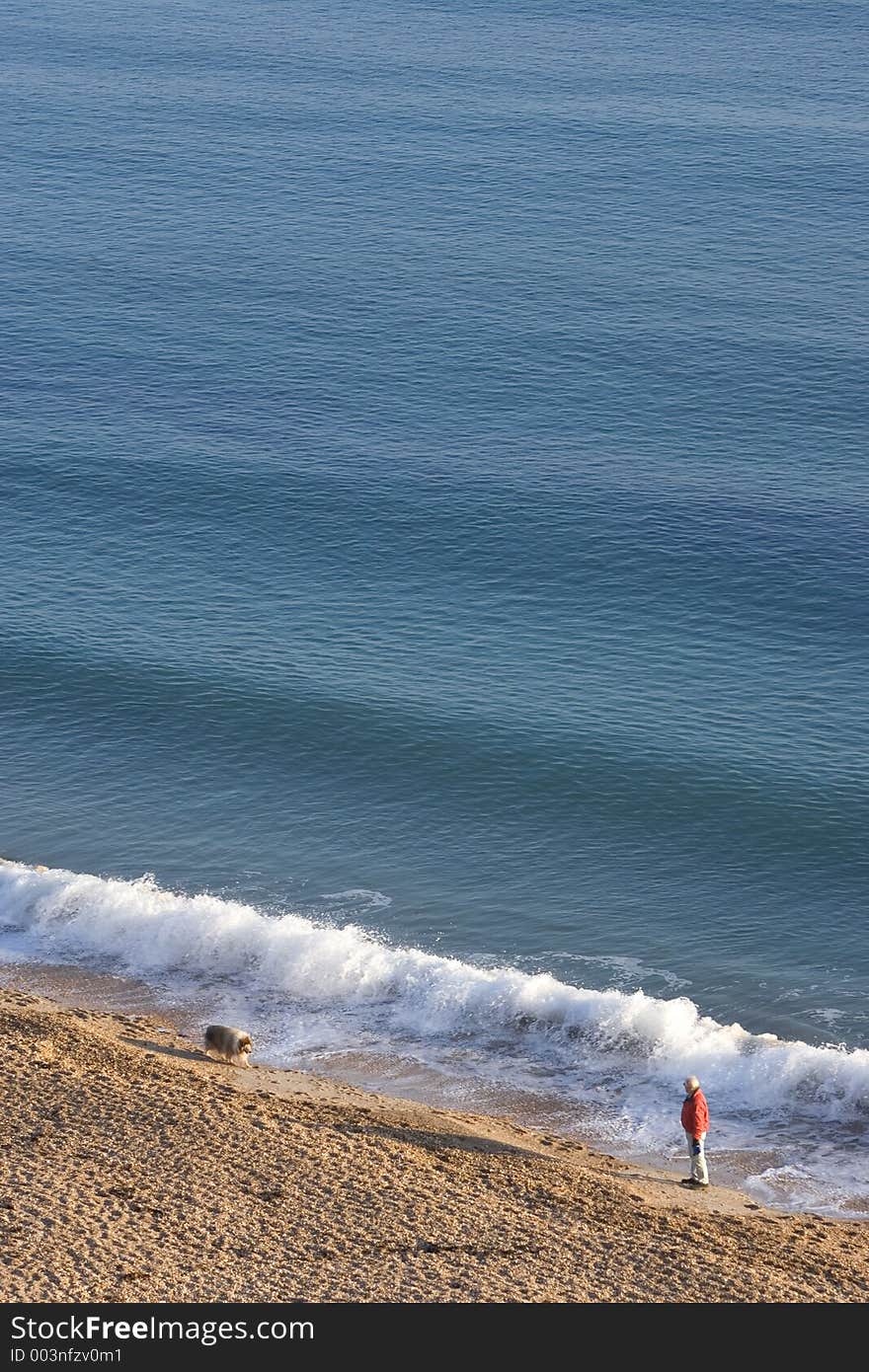 Man walking his dog along Weymouth beach in the sun