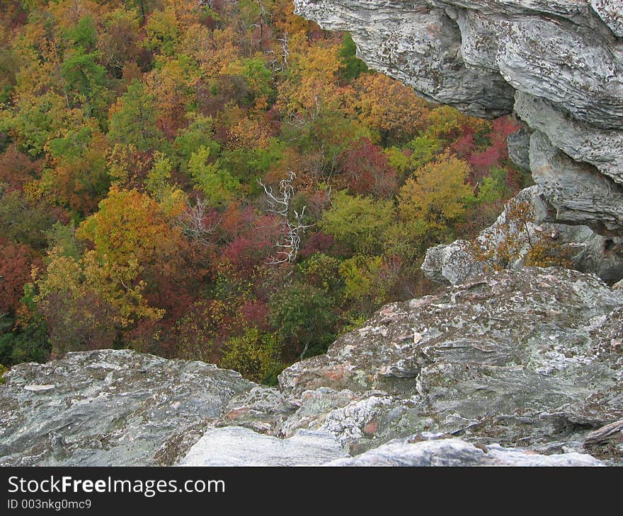 Fall colors from above. Fall colors from above