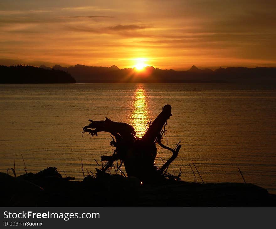 Sunrise and Driftwood. Sunrise and Driftwood