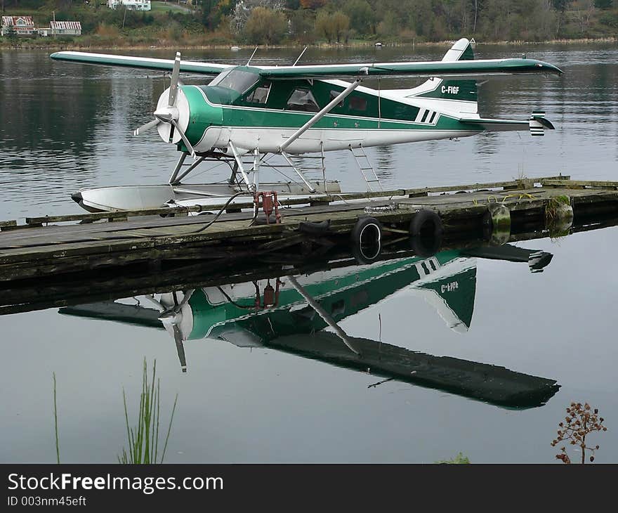 Beaver on Floats