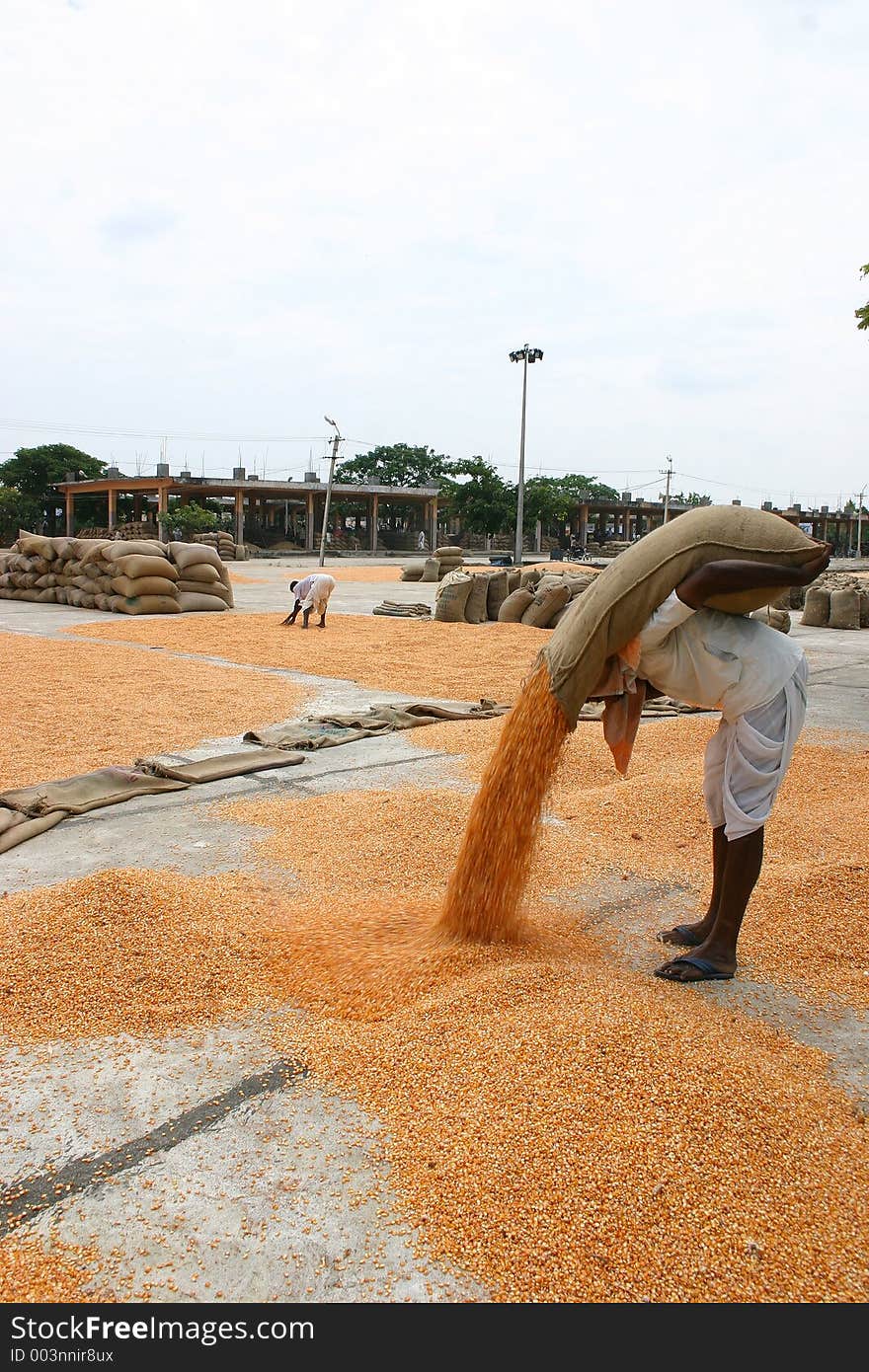 Market Yard India