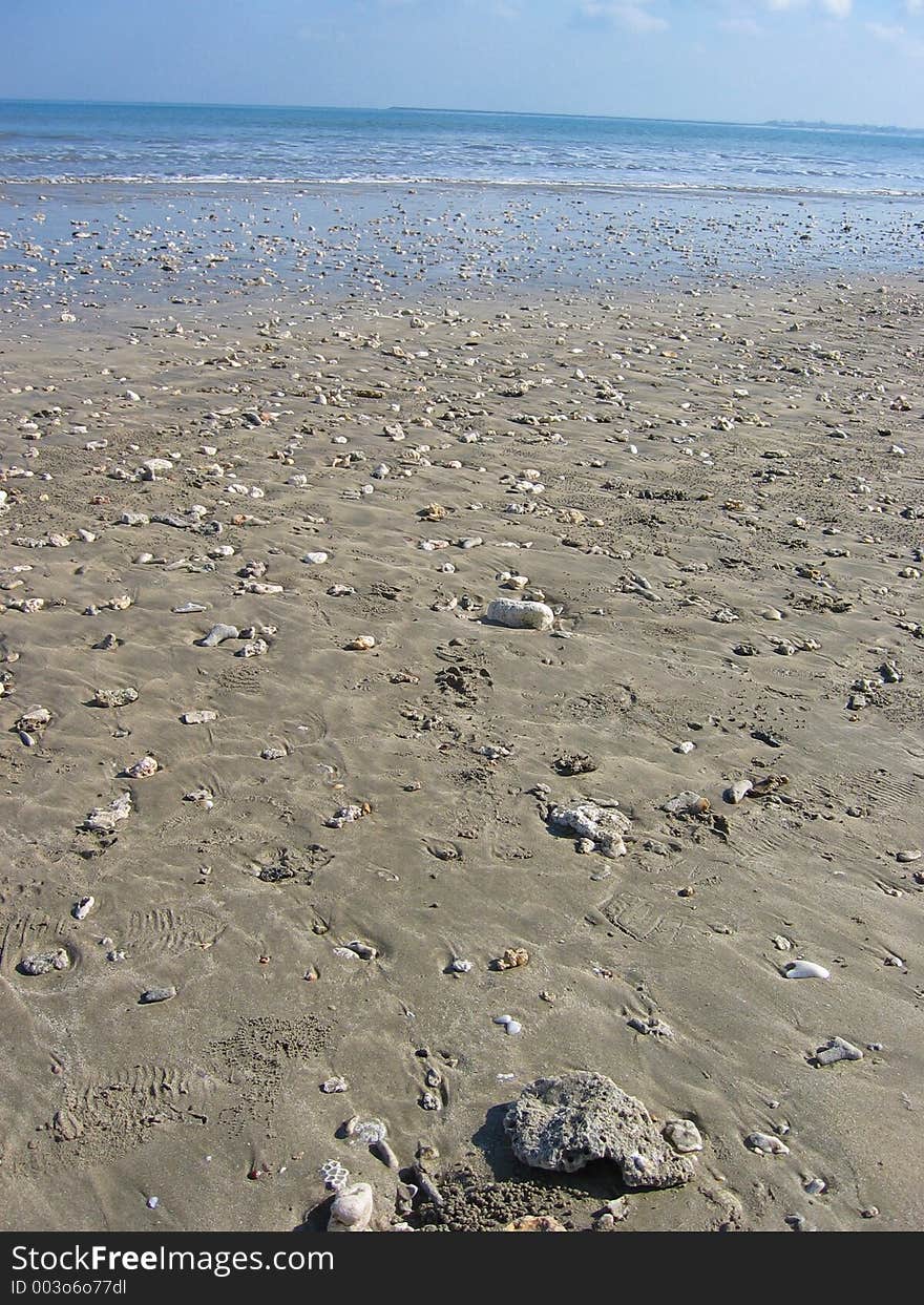 Rocky beach with lots of seashells. Rocky beach with lots of seashells