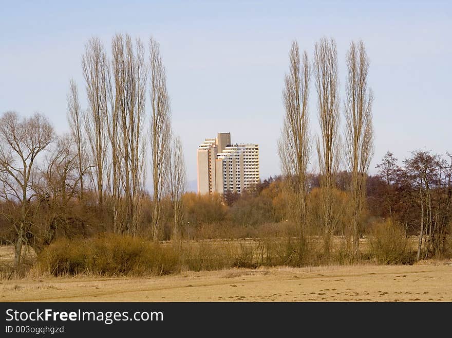 A building in between two leafless trees in winter.