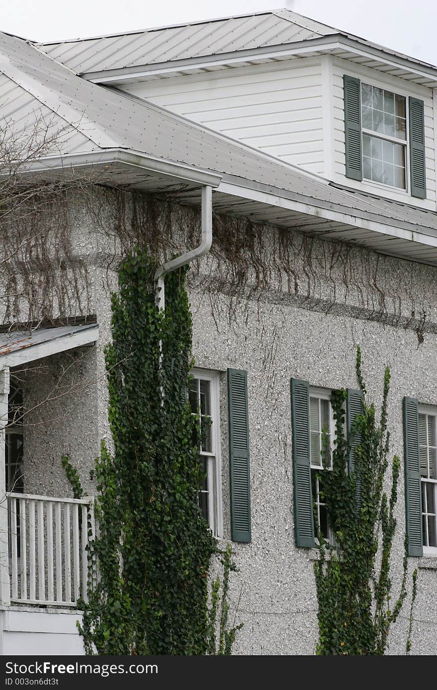 Ivy Covered Walls