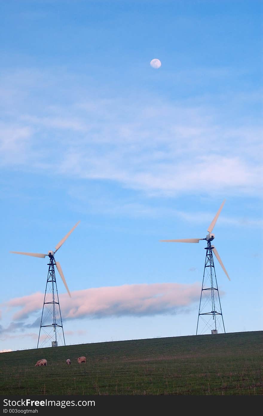 Sheep standing on a hillside with a windmill towering above, with the moon in the sky. Sheep standing on a hillside with a windmill towering above, with the moon in the sky