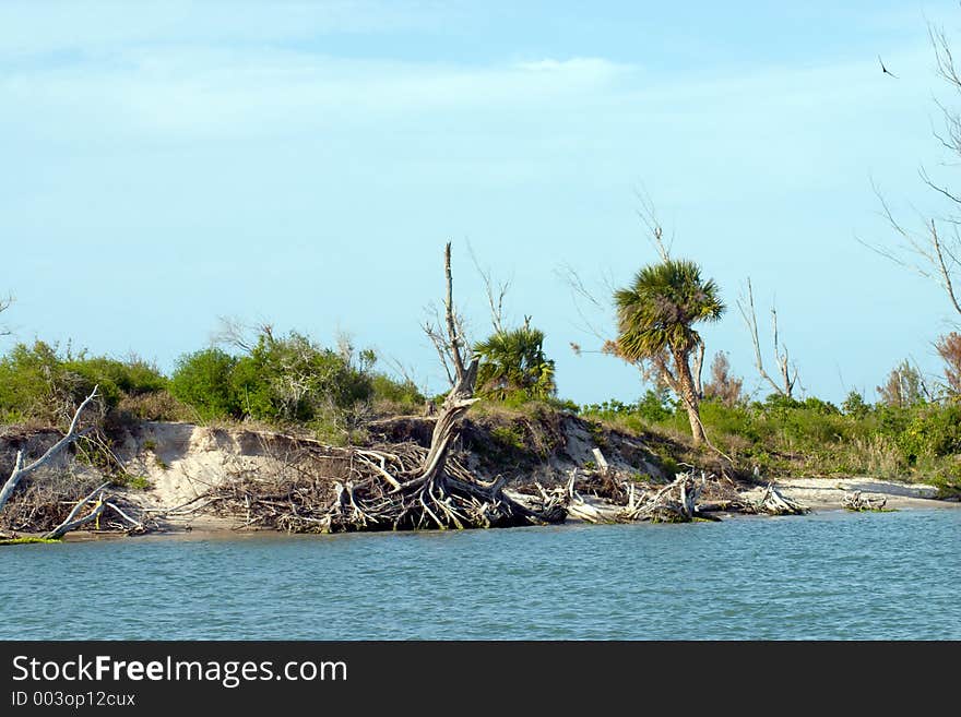 Riverbank showing erosion by waves and current. Riverbank showing erosion by waves and current