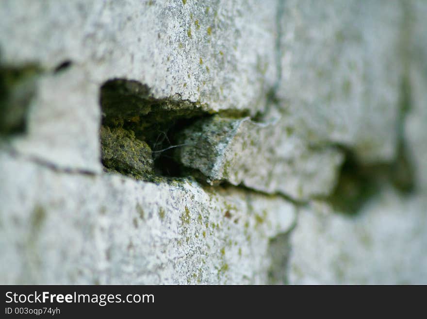 Close up of brickwork painted white.