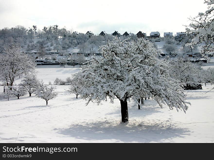 Valley in winter