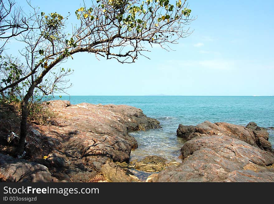 Beach with big stones and a tree