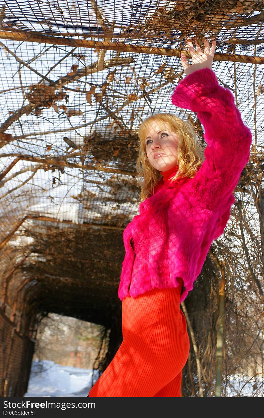 The young girl in a wood and cell. The young girl in a wood and cell