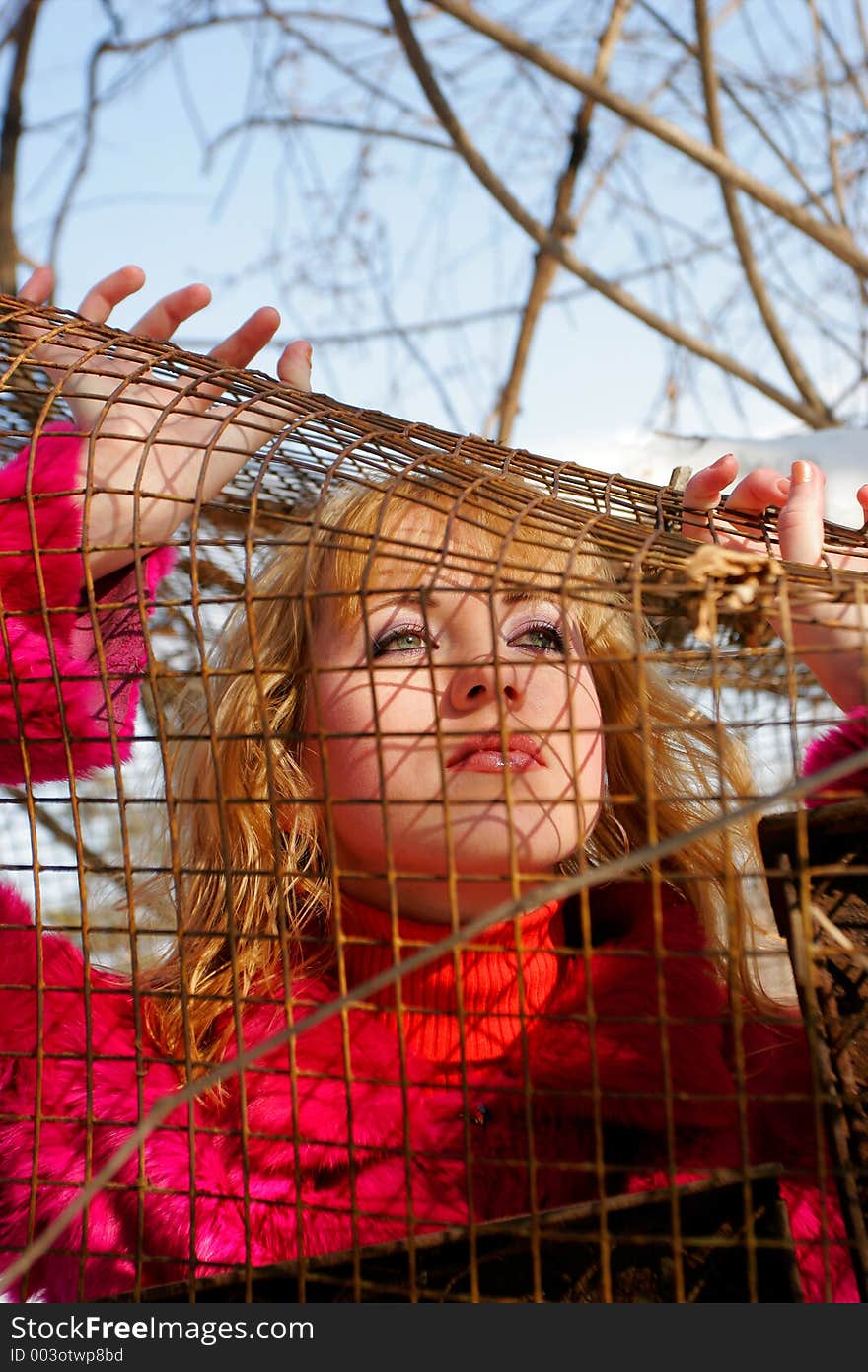 The young girl in a wood and cell. The young girl in a wood and cell