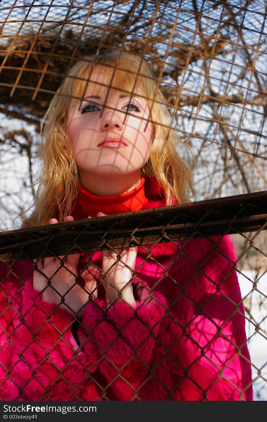 The young girl in a wood and cell. The young girl in a wood and cell