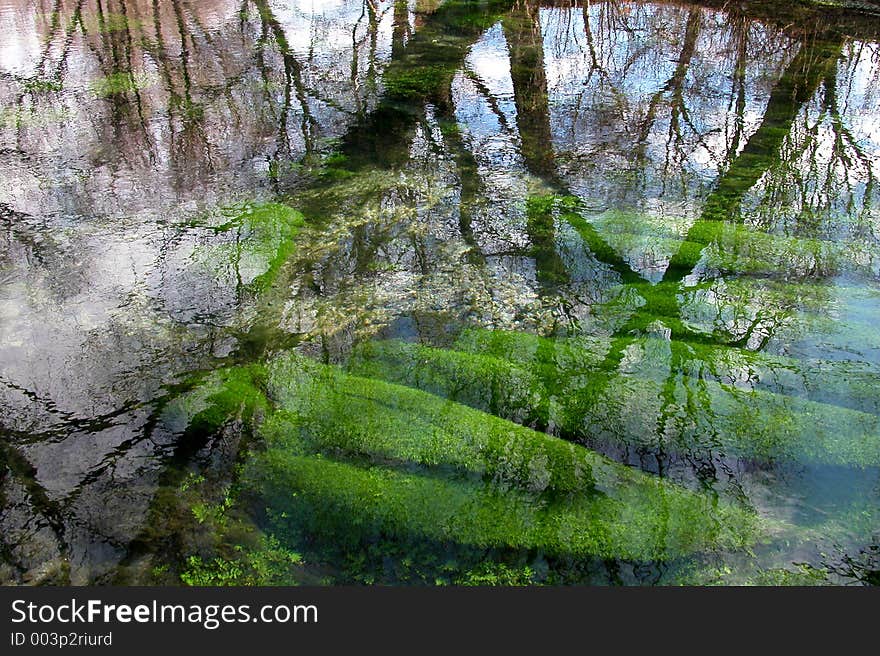 River's herbs. River's herbs