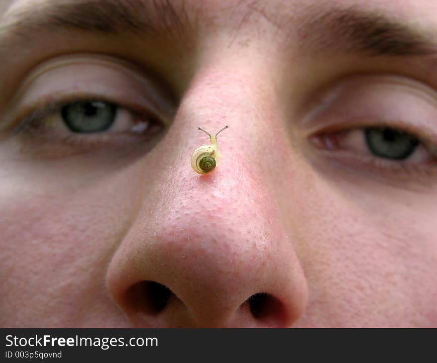 Small snail on man's nose