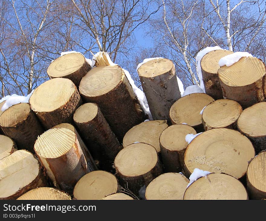 Living trees and dead timber