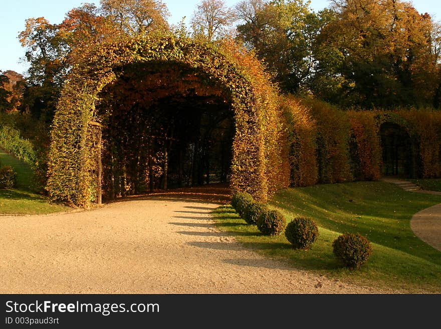 Park with plants with the formof a tunnel. Park with plants with the formof a tunnel