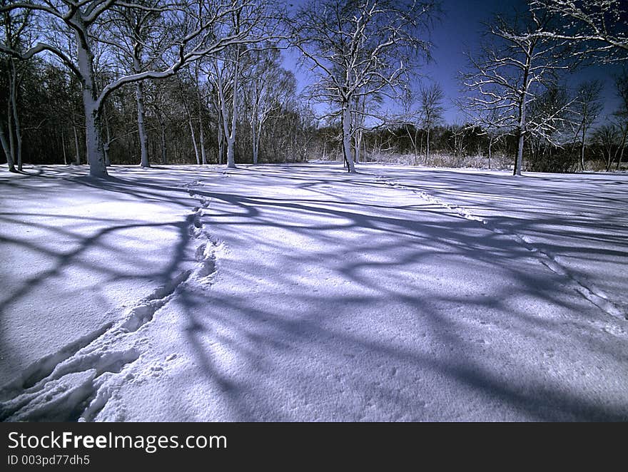 Snow trail