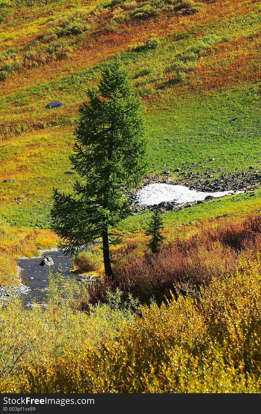 Multicolor landscape.