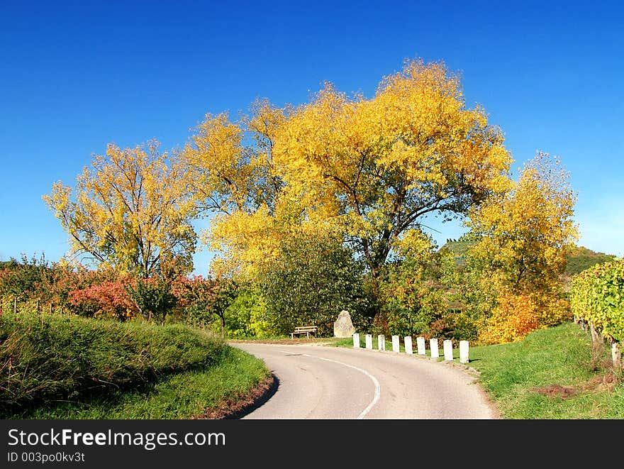 Colourful landscape in autumn. Colourful landscape in autumn.