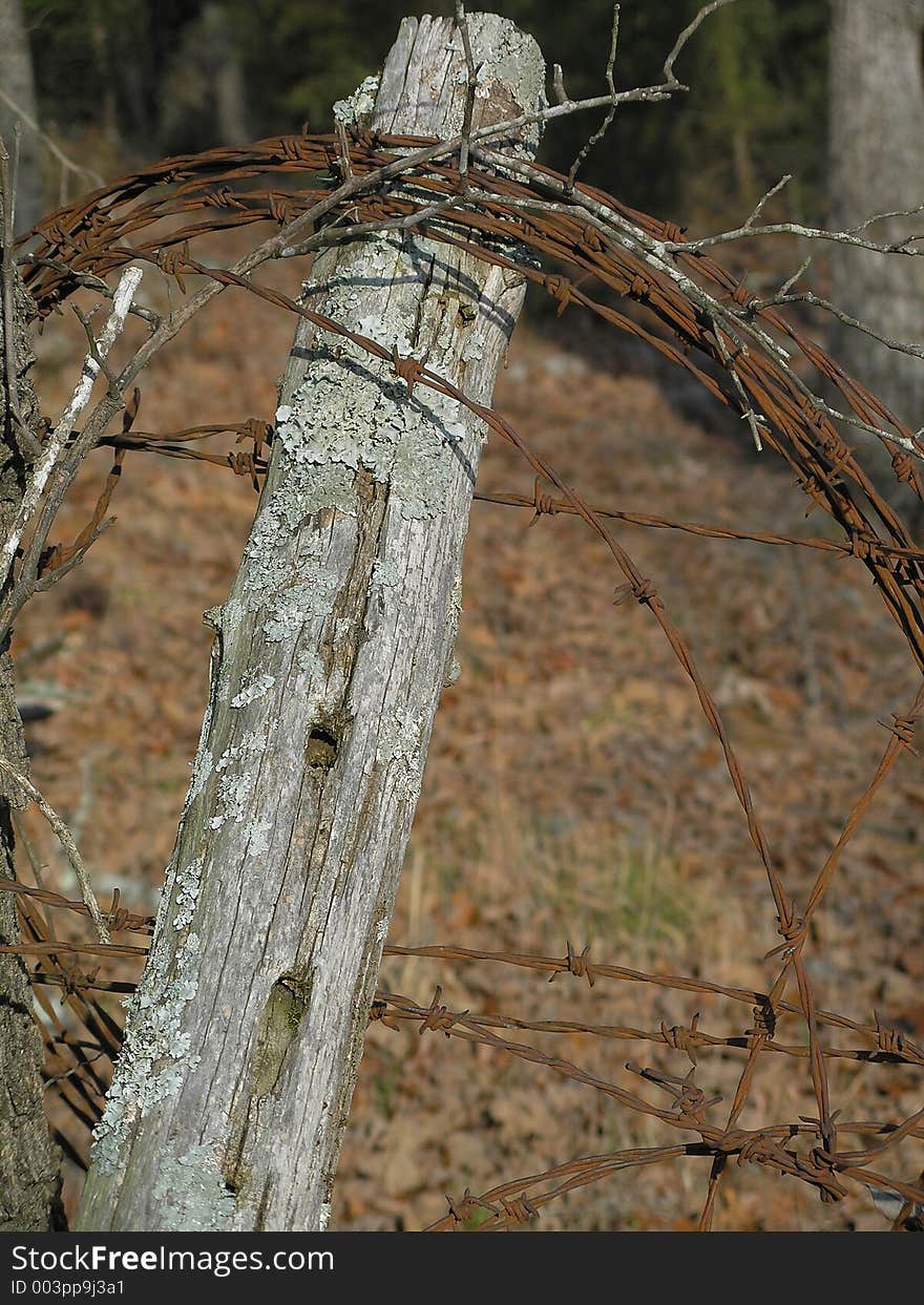 Old fence post with rusted roll of barb wire