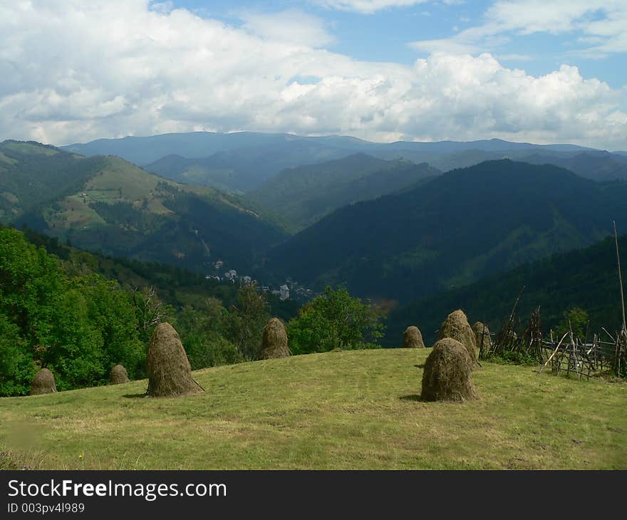 Mountain meadow with cut grass (fodder). Mountain meadow with cut grass (fodder)