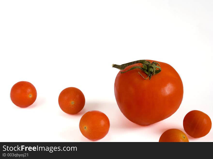 Tomatoes in white background