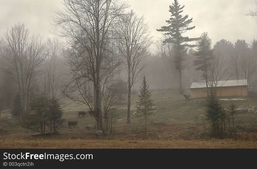 Misty Morning farmland