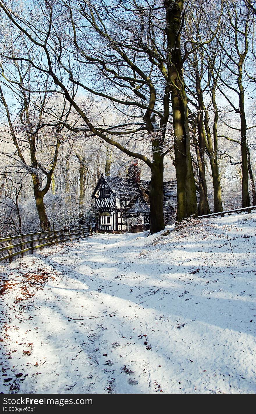 Worsley Woods in winter