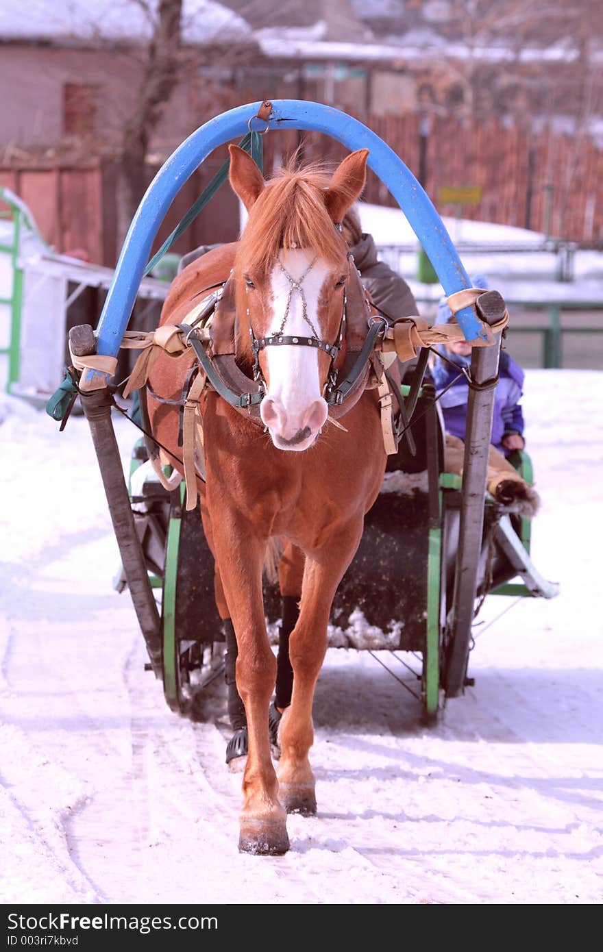 Horse and sledge