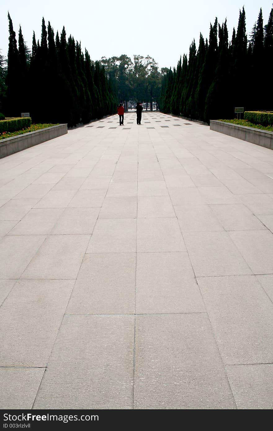 Wide walkway lined with trees. Wide walkway lined with trees