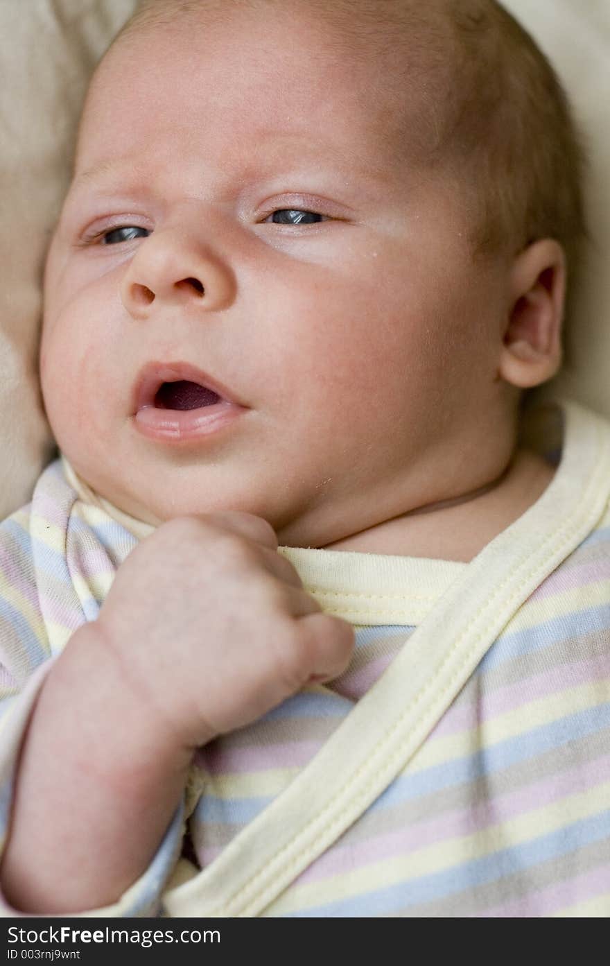 Newborn portrait