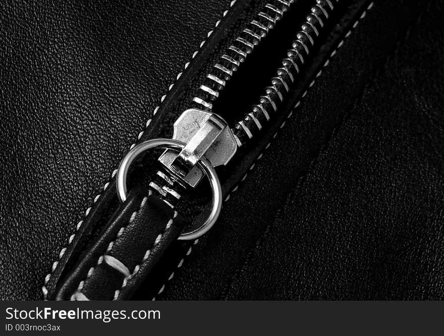 Photo of a Purse Zipper