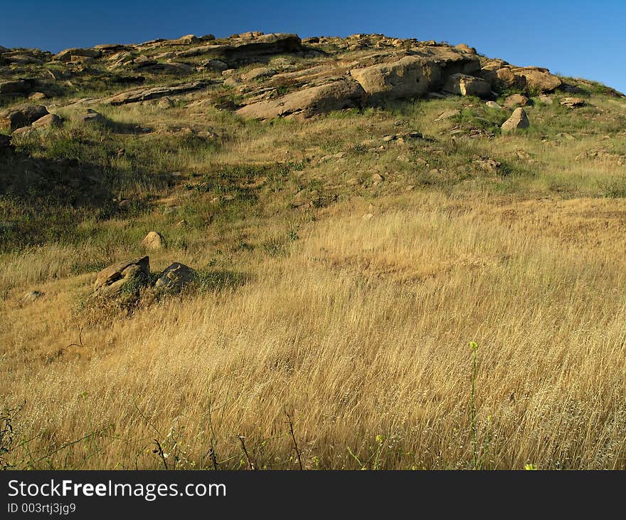 Blue twilight with grass and rocks