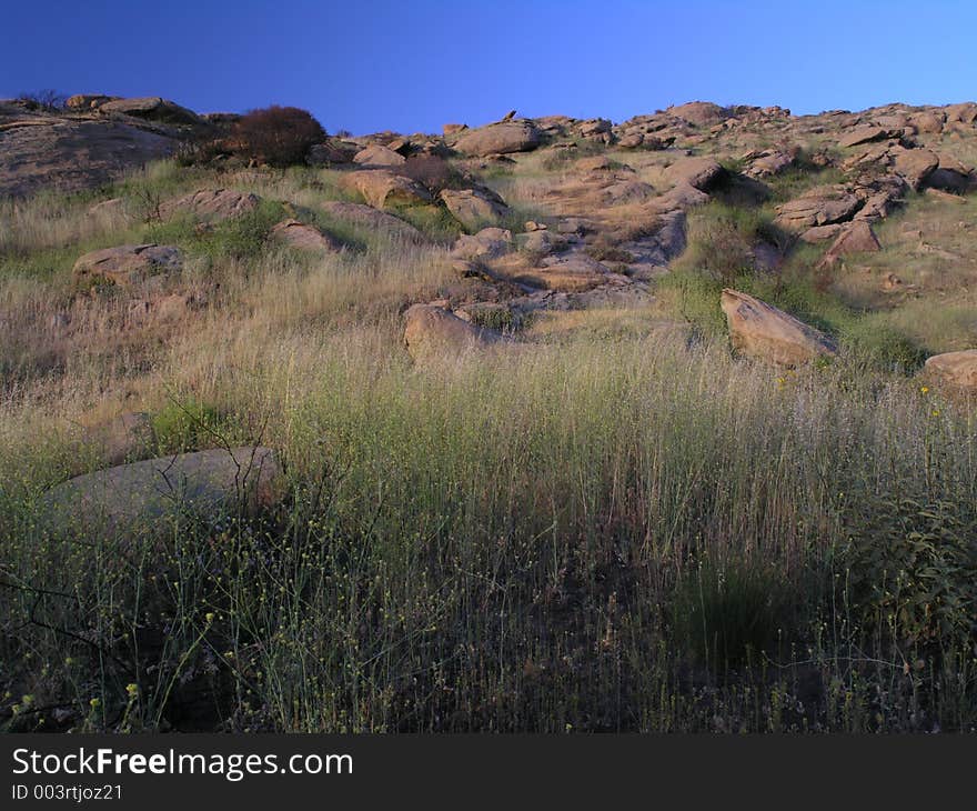 A grassy field illuminated by the setting sun, with a dark blue sky and red rocks. A grassy field illuminated by the setting sun, with a dark blue sky and red rocks