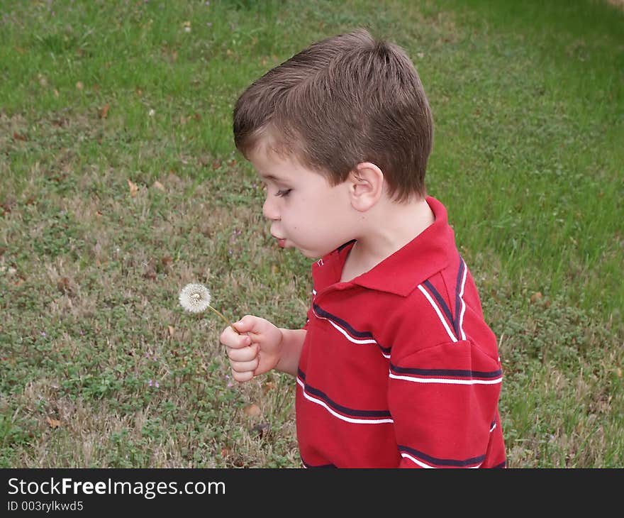 A young boy blowing on a dandelion flower seed pod (blow flower). A young boy blowing on a dandelion flower seed pod (blow flower).