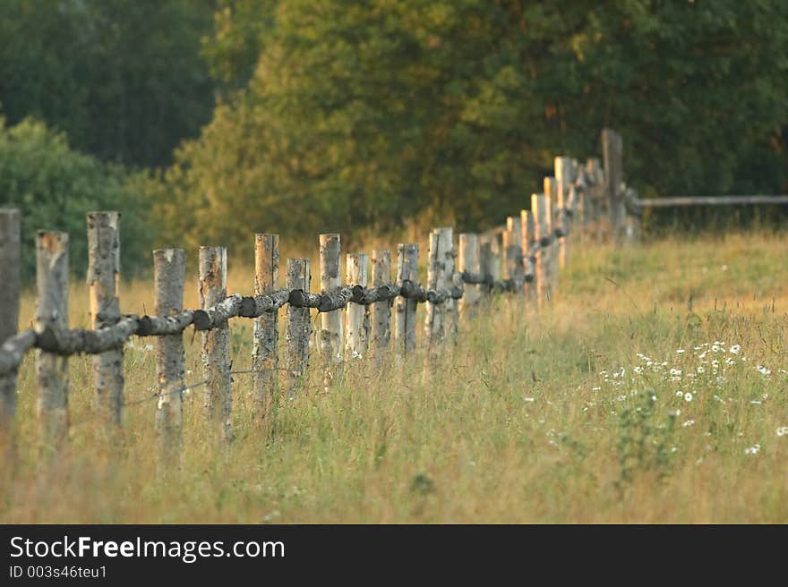 Countryside fence. Countryside fence