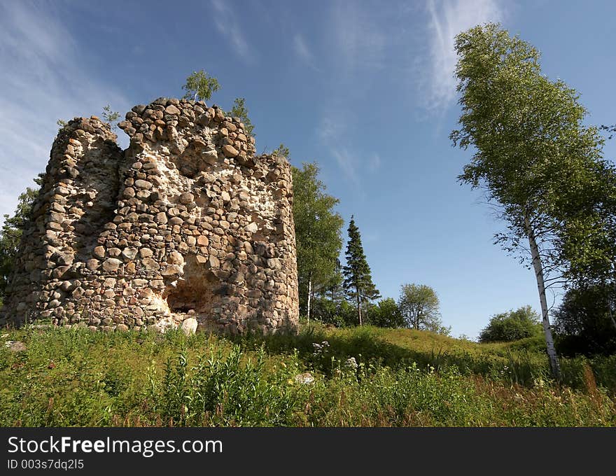 Old fortress and tree