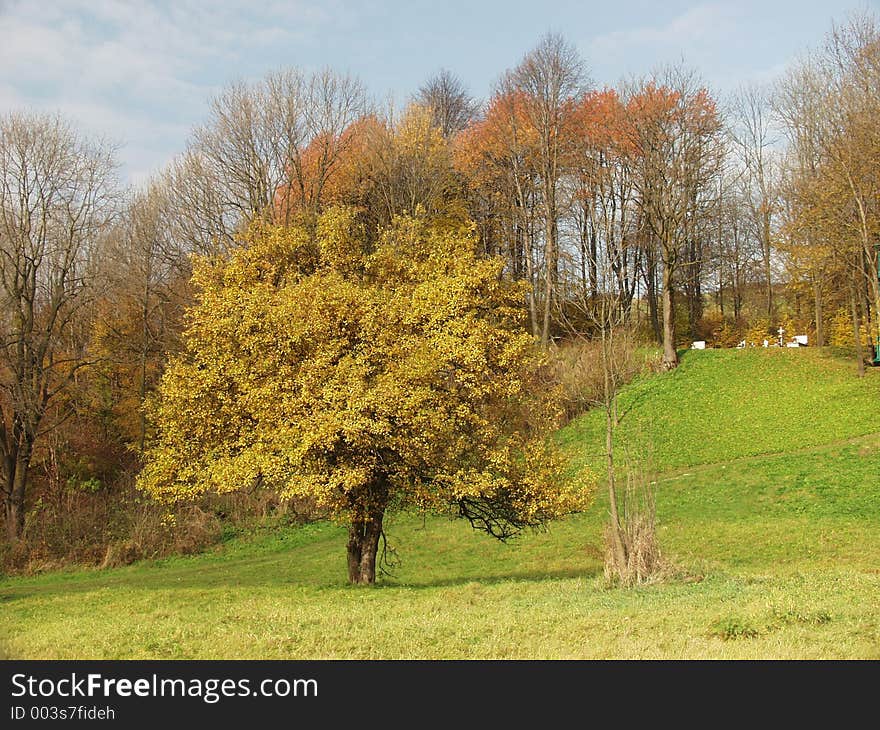 Oslawa valley,Poland