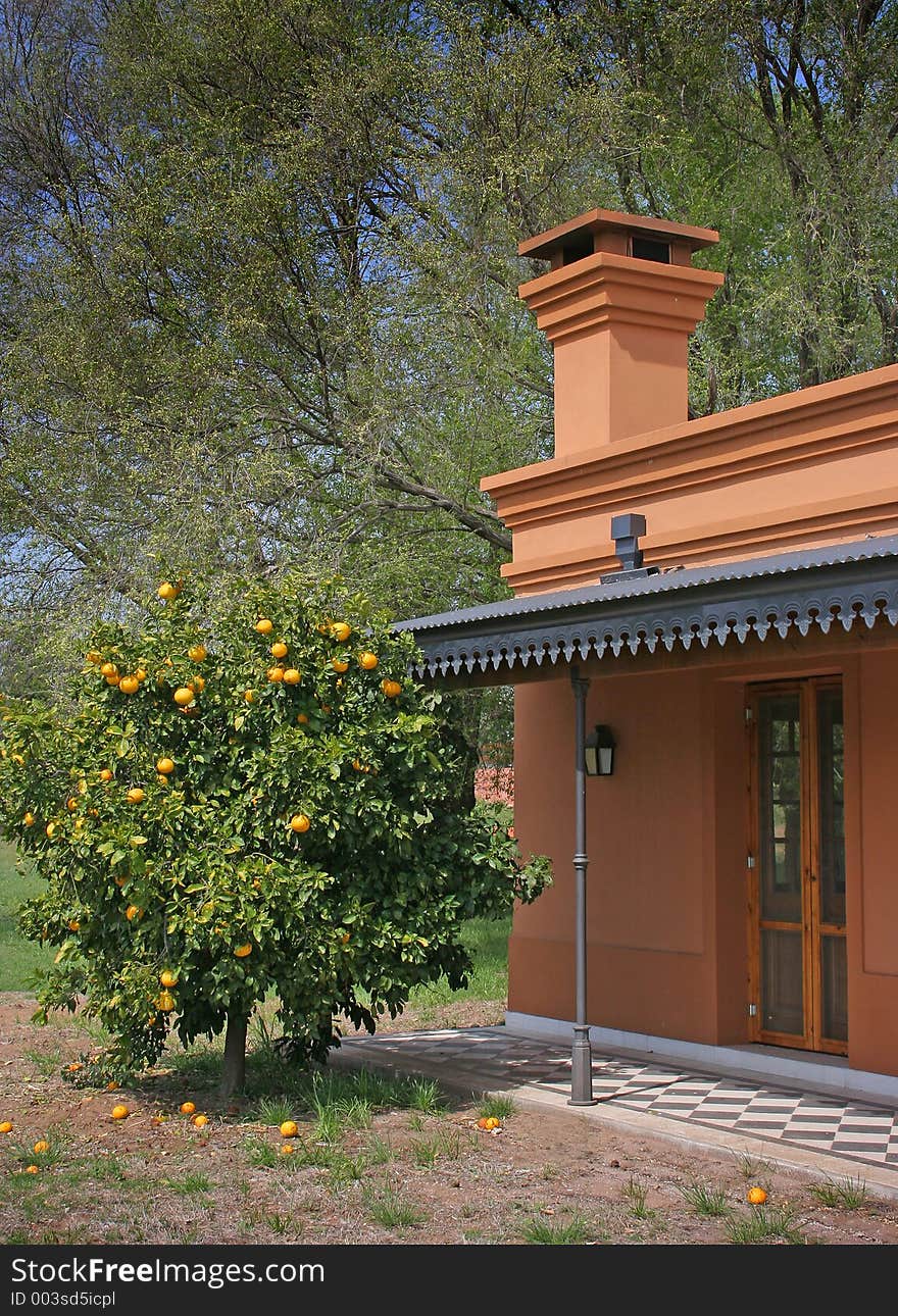 Rural House With Orange Tree