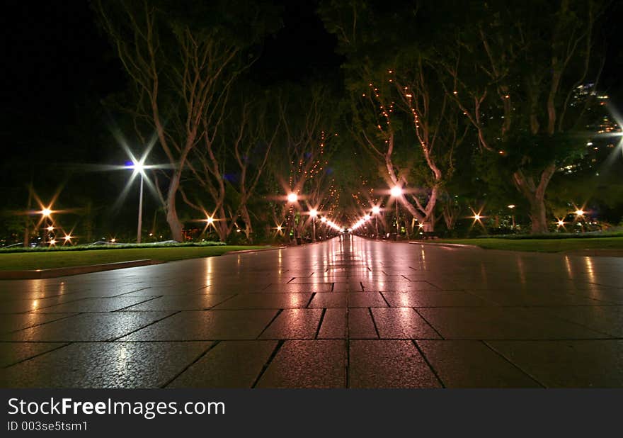 Alley at night in a public park. Alley at night in a public park