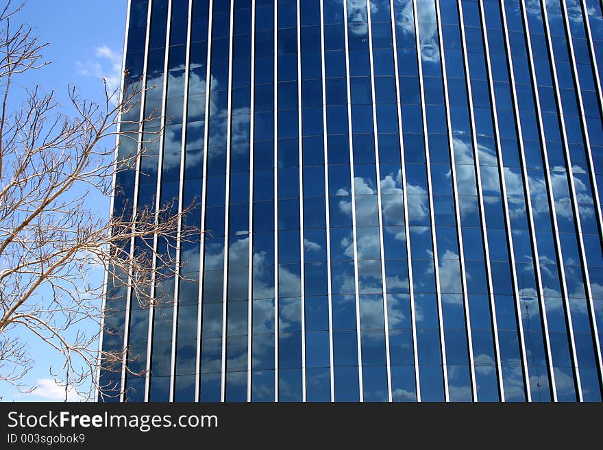 Modern building reflects a blue sky with clouds and a tree