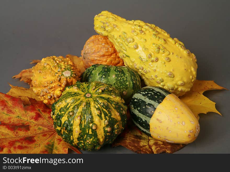 Gourds, Halloween Theme