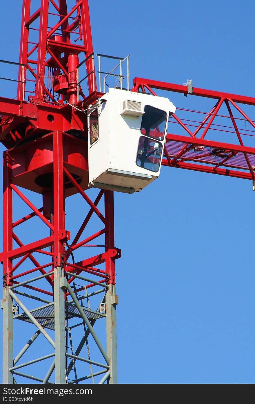 Red Crane Closeup