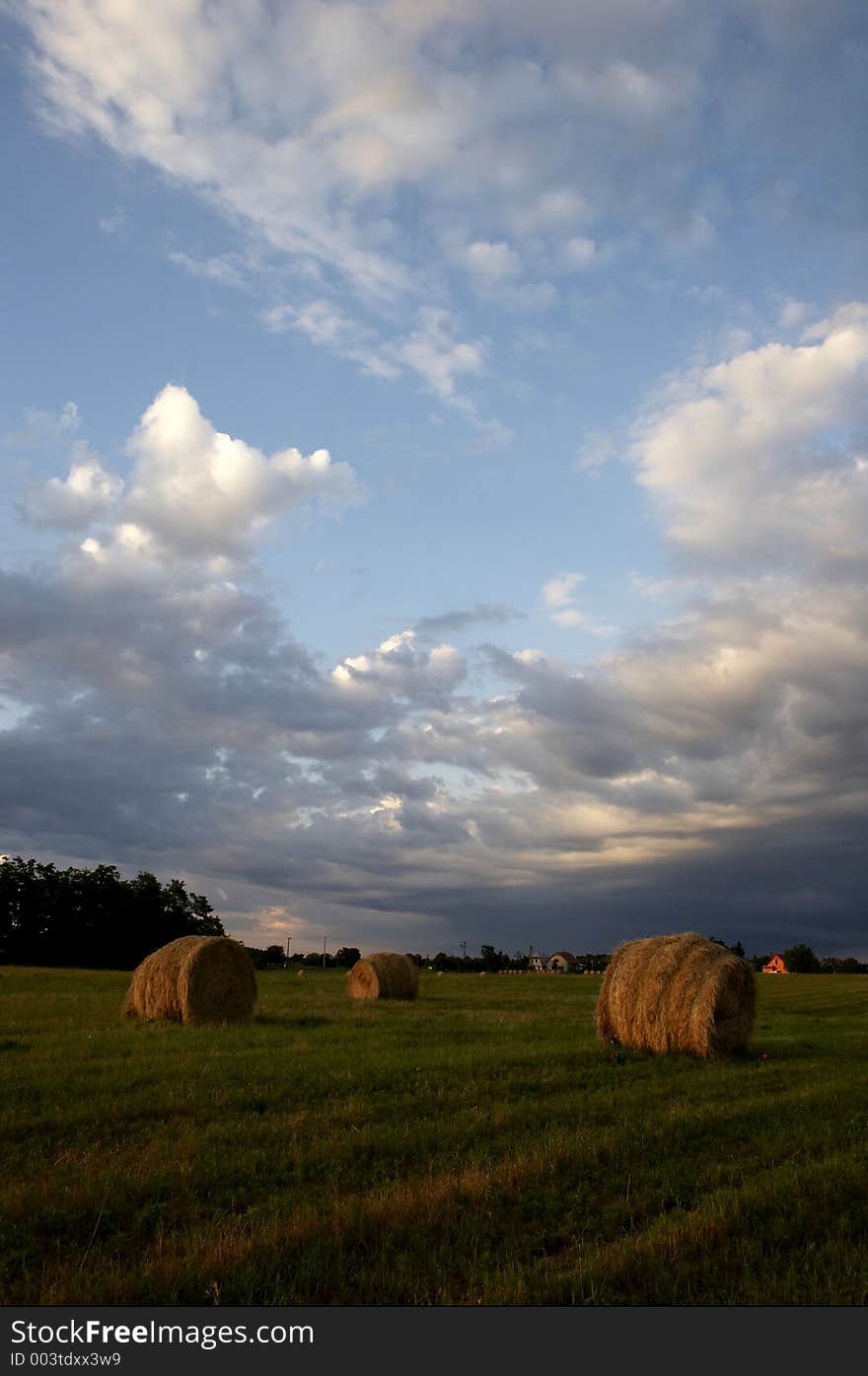 Haycocks