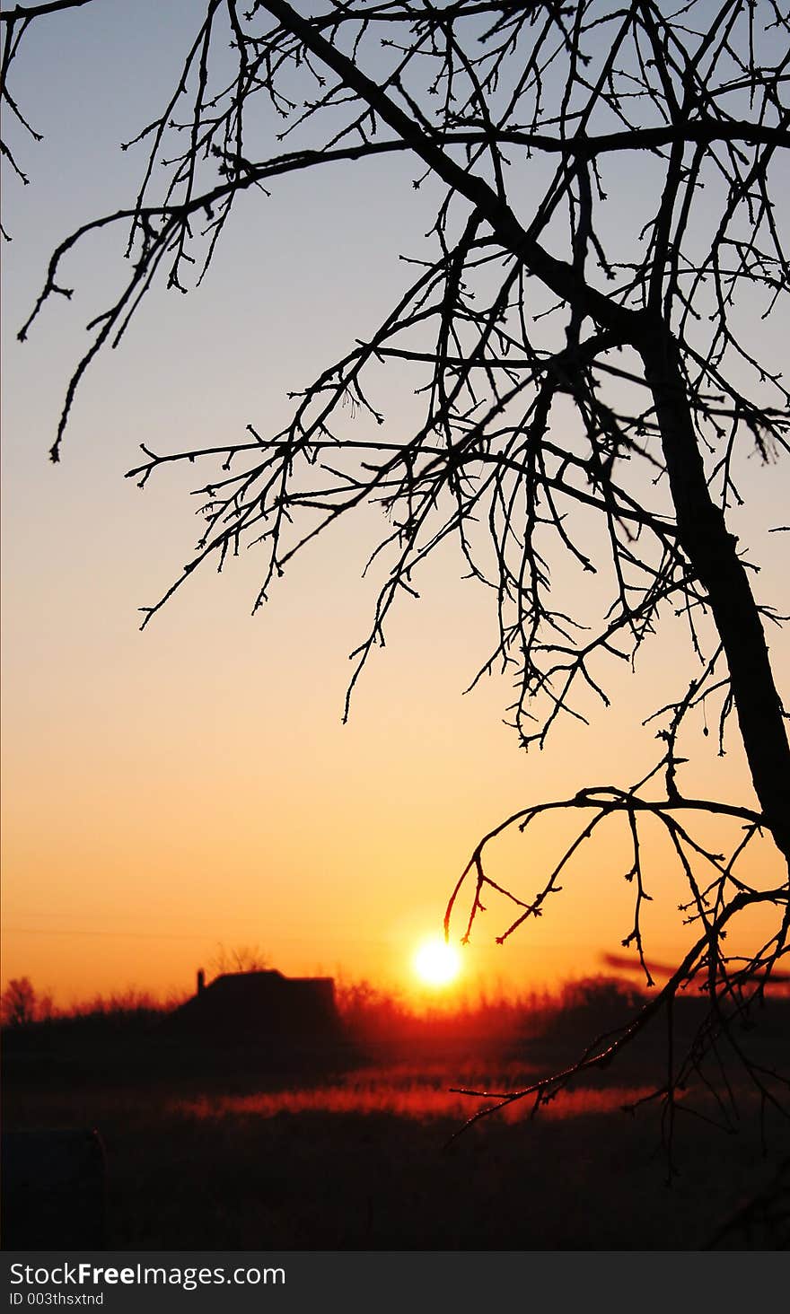 Sunrise on the field