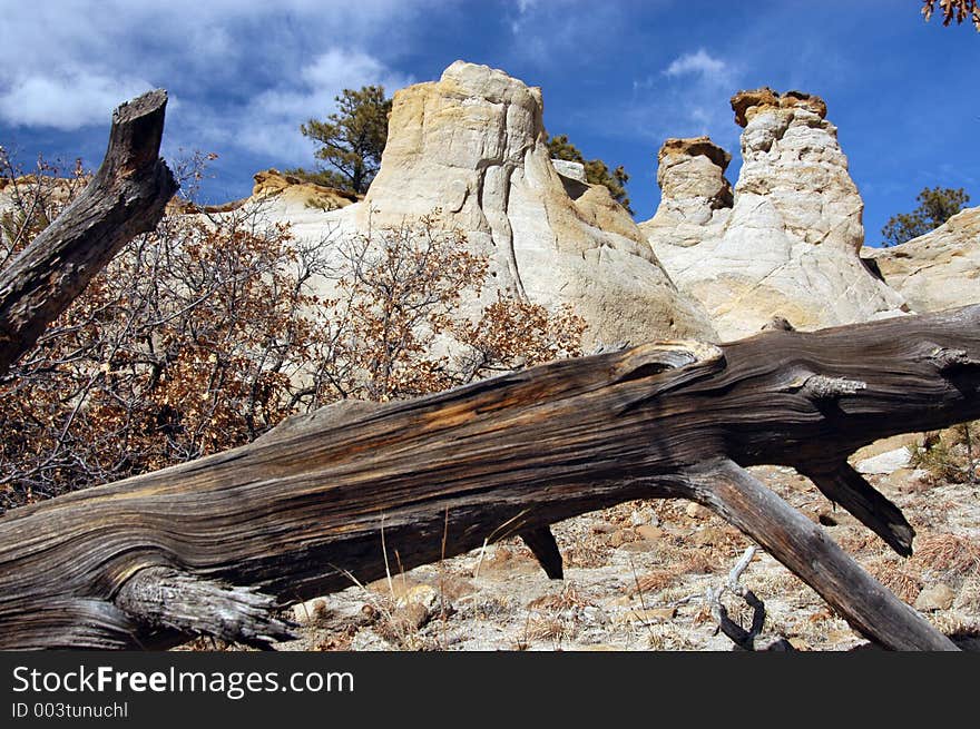 Landscape in Colorado, nice blue sky day. Landscape in Colorado, nice blue sky day