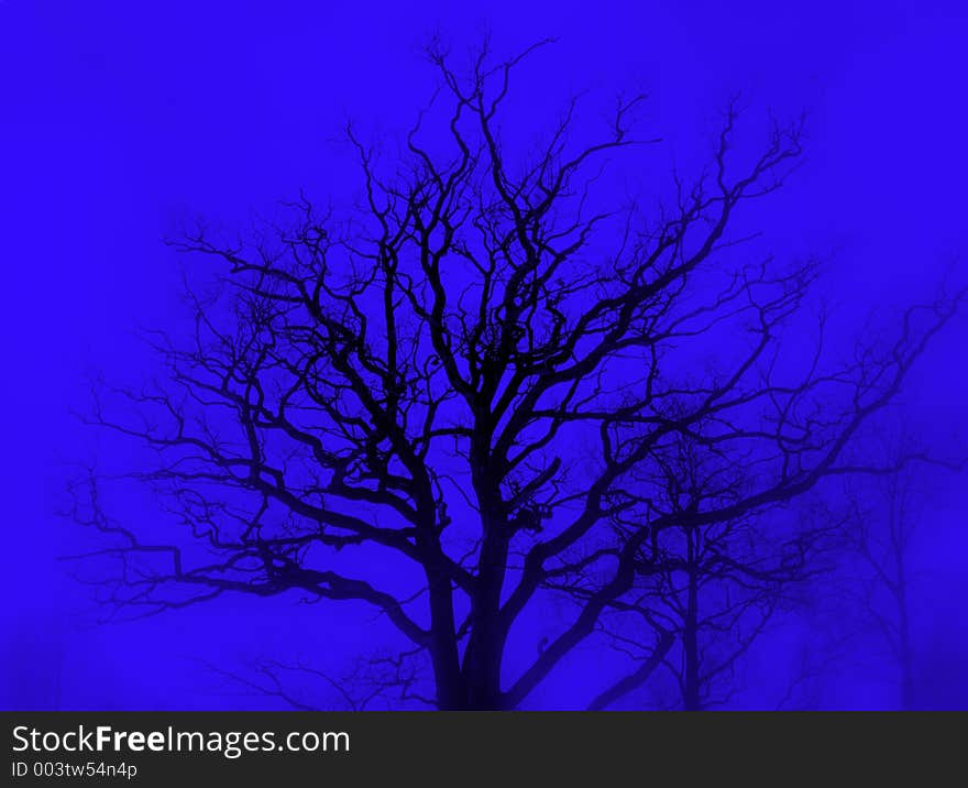 Tree silhouette blue